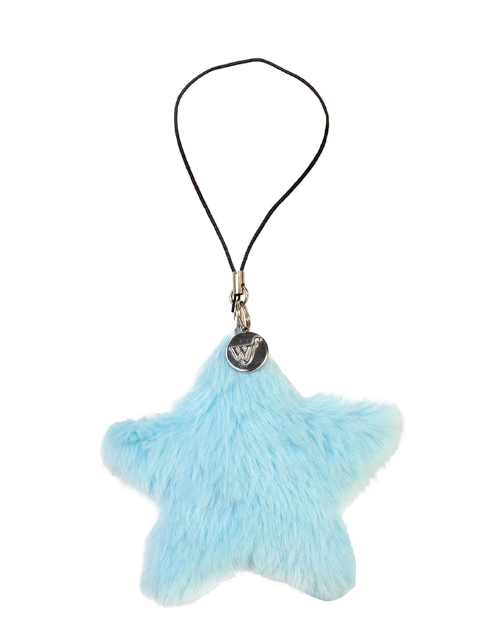 01-Fuzzy-blue-Star-PDP-Supporting-Images
